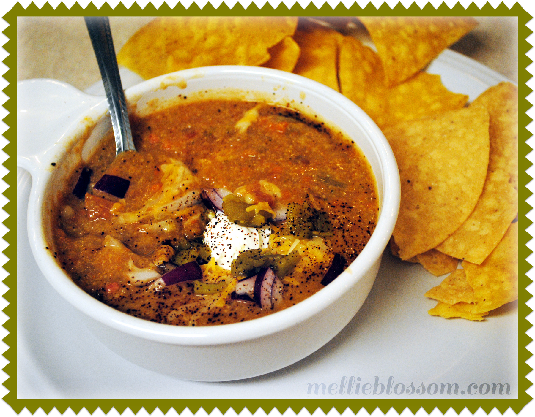 Spicy Mexican Soup for the Crockpot mellie blossom
