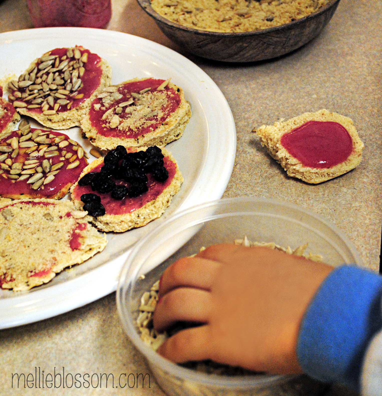 Bird Seed Cookie Recipe at Sherman Compton blog