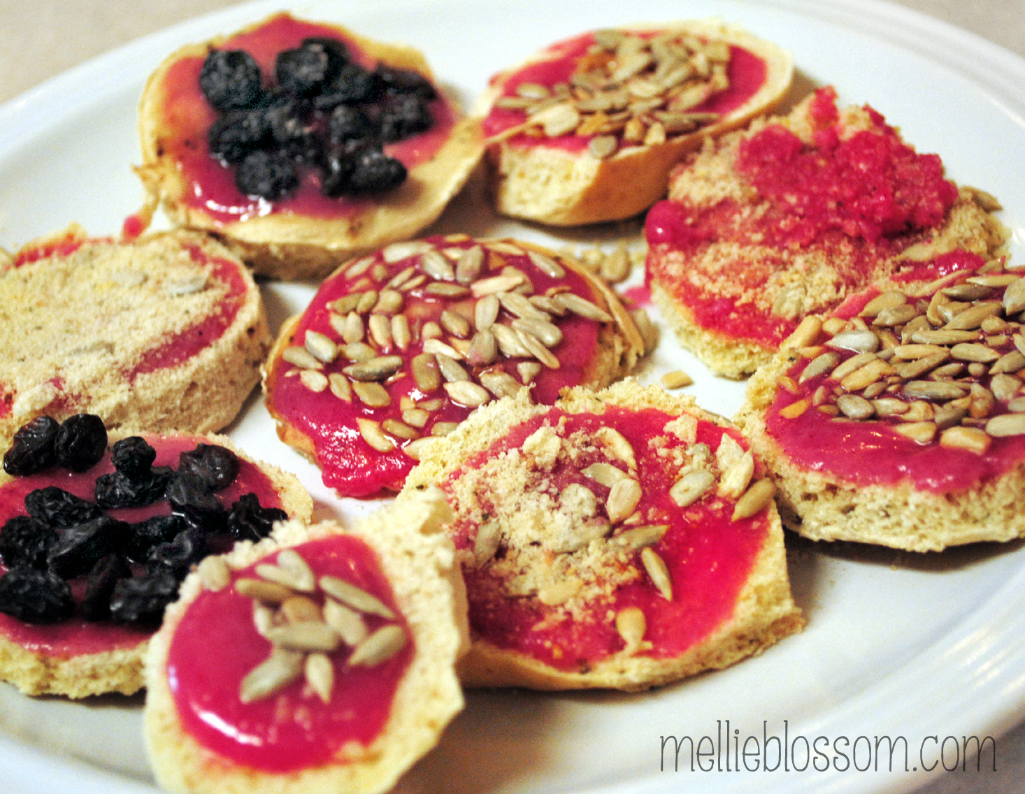 Birdseed Cookies mellie blossom
