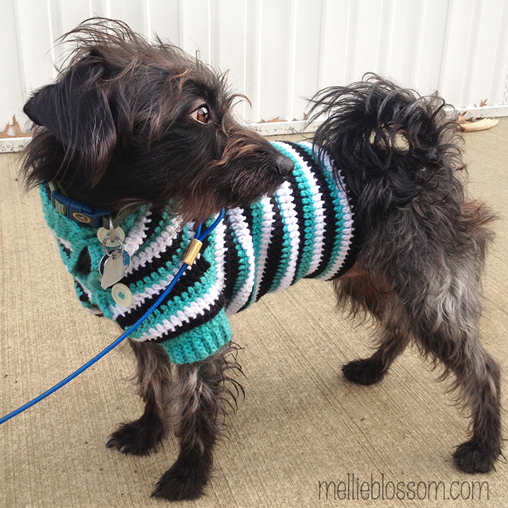 Crochet Dog Sweater - mellieblossom.com